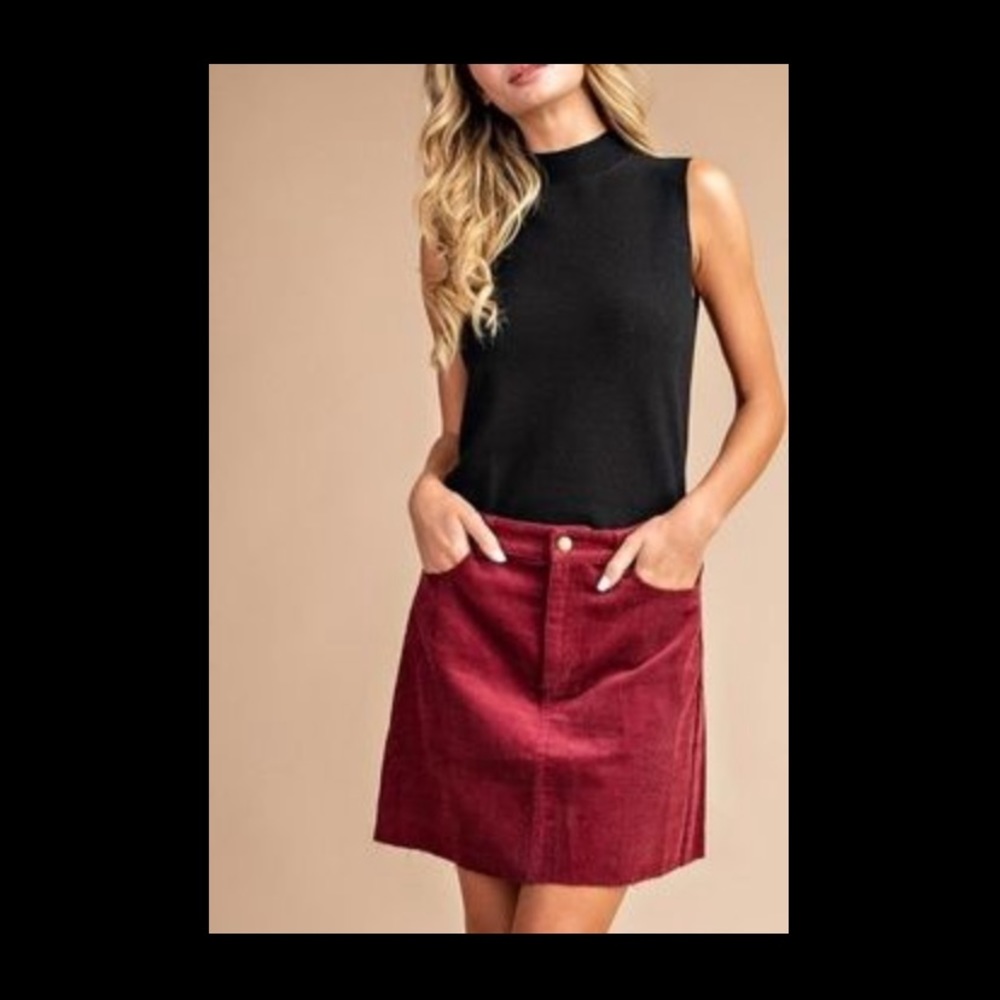 Skirt NWT!